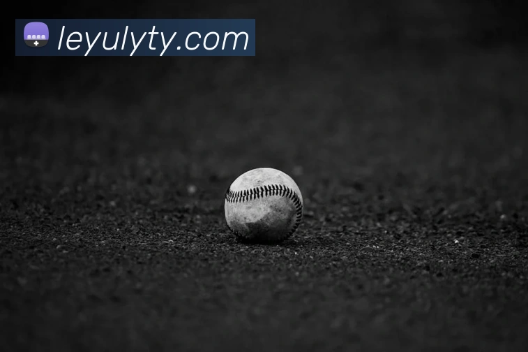 乐鱼体育APP 封面图